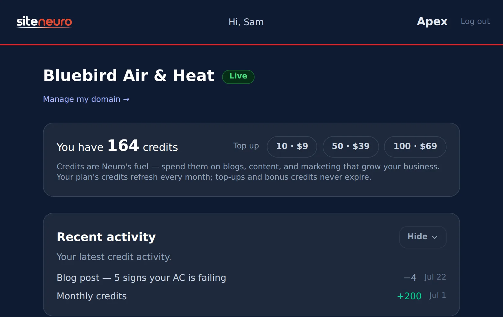 Credits and recent activity at the top of the dashboard