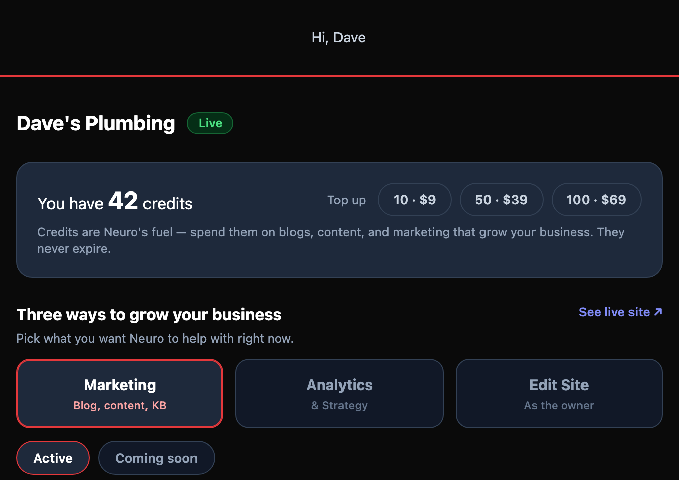 SiteNeuro owner dashboard — credits, and Marketing, Analytics & Strategy, Edit Site