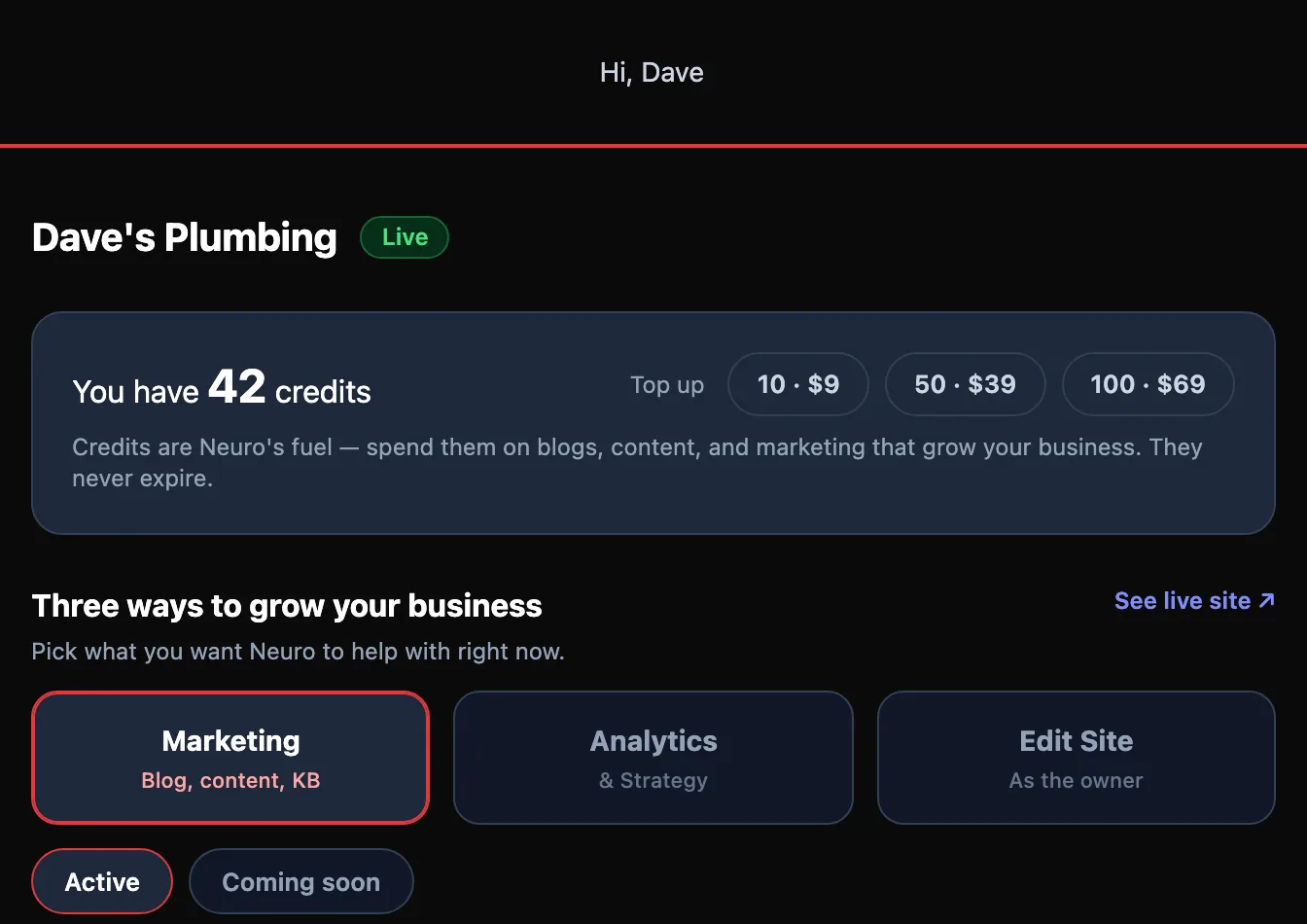 SiteNeuro owner dashboard — credits, and Marketing, Analytics & Strategy, Edit Site
