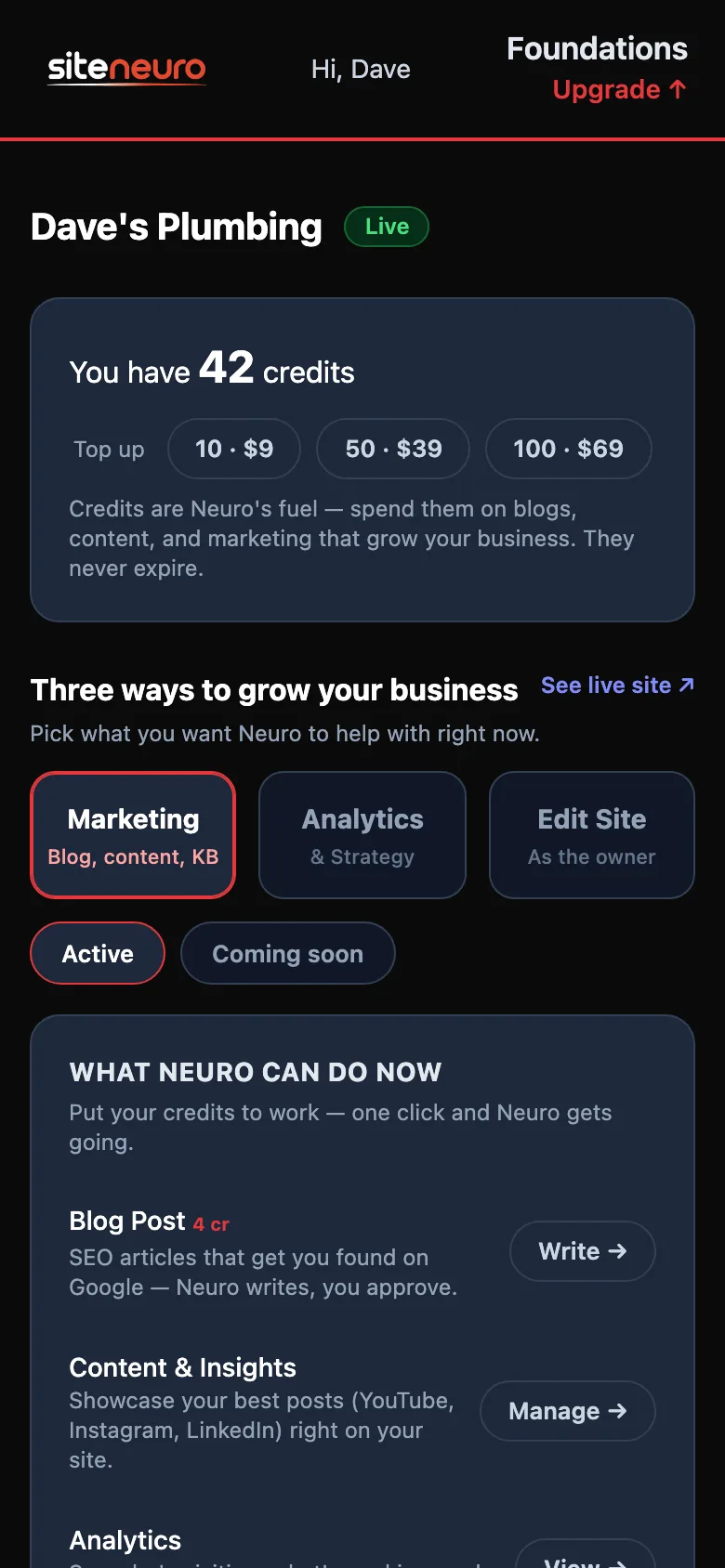 SiteNeuro owner dashboard on mobile