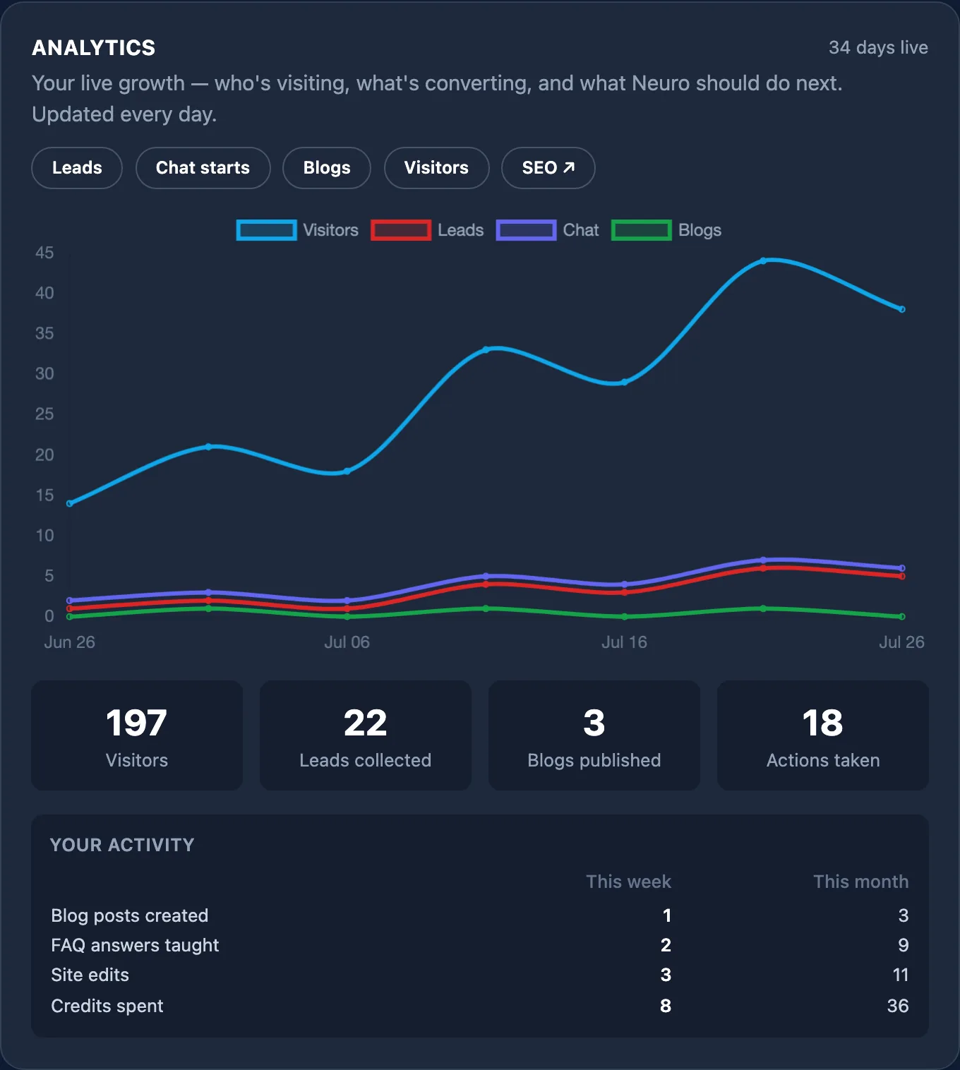 The analytics panel: visitors, leads, chat starts and blogs charted day by day